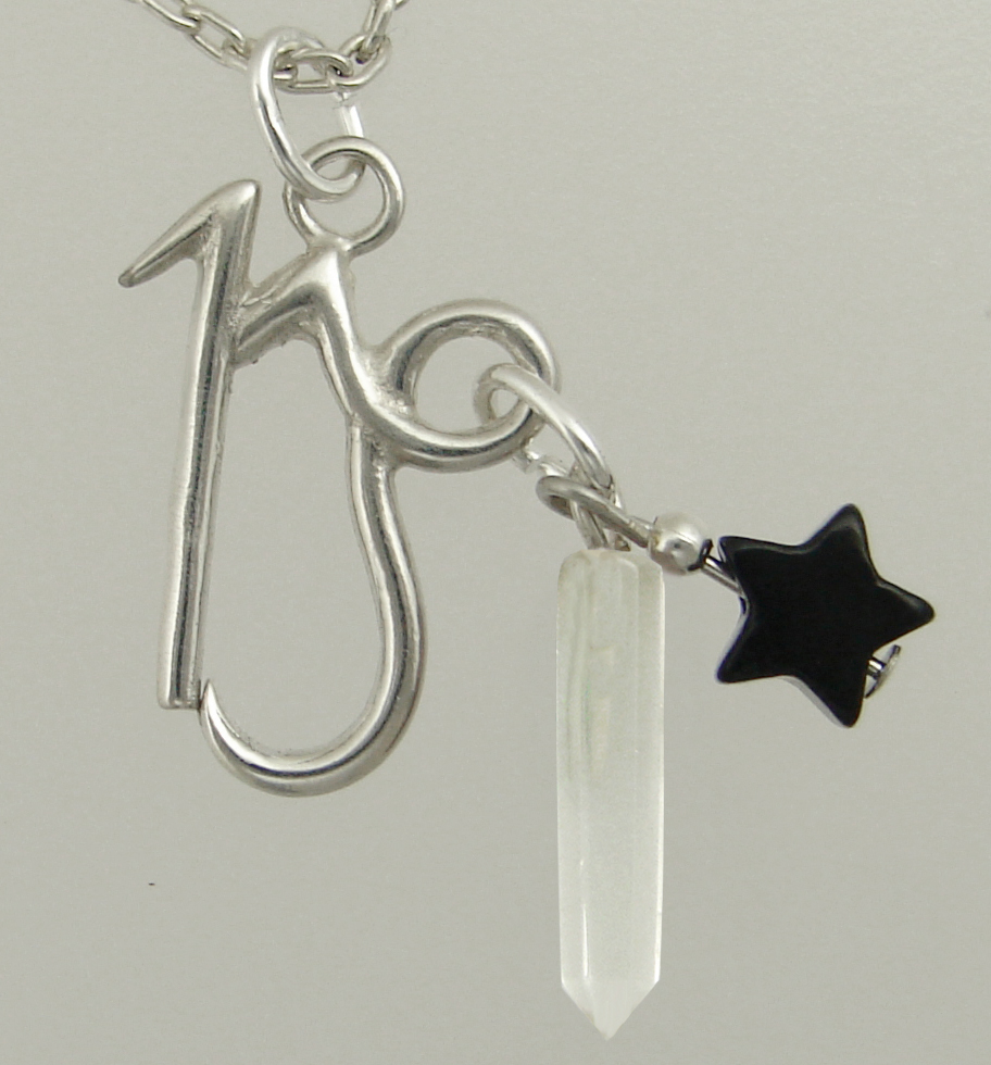 Sterling Silver Capricorn Pendant Necklace With an Clear Crystal And a Black Onyx Star
